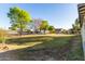 Large backyard with mature trees and grassy area at 5715 N 105Th Ln, Glendale, AZ 85307