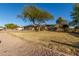 House exterior with a large yard and mature tree at 5715 N 105Th Ln, Glendale, AZ 85307