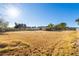 Open land with dry grass and distant structures at 5715 N 105Th Ln, Glendale, AZ 85307