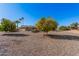 Large backyard with multiple fruit trees and gravel ground cover at 18014 N Broken Bow Ct, Sun City, AZ 85373