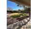 Landscaped backyard with grassy area and covered patio at 20457 N 80Th Dr, Peoria, AZ 85382