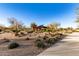 Landscaped community park with a covered pavilion and walking paths at 22643 E Stonecrest Dr, Queen Creek, AZ 85142