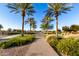 Brick pathway lined with palm trees leading through a community park at 22643 E Stonecrest Dr, Queen Creek, AZ 85142