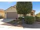 Landscaped front yard with a large tree and drought-tolerant plants at 26541 W Ross Ave, Buckeye, AZ 85396