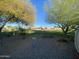 View of backyard with grass and trees at 3721 N Illinois Ave, Florence, AZ 85132