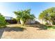 Backyard with shed and mature trees providing shade at 3810 W Mohawk Ln, Glendale, AZ 85308