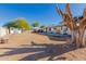 Large backyard with mature tree and storage shed at 936 E 8Th Pl, Mesa, AZ 85203