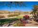 Landscaped backyard with putting green and mountain views at 10756 E Ludlow Dr, Scottsdale, AZ 85255