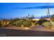 Landscaped front yard with desert plants and a gated entry at 10758 E Tamarisk Way, Scottsdale, AZ 85262