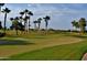 Expansive green golf course with palm trees and homes at 16955 W Holly St, Goodyear, AZ 85395