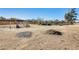 Backyard with dirt and corral at 26207 S Lime Dr, Queen Creek, AZ 85142