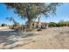 House exterior view, large tree in front at 26207 S Lime Dr, Queen Creek, AZ 85142