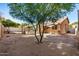 Large backyard with mature trees and patio at 2673 W Ivanhoe St, Chandler, AZ 85224