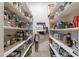 Well-organized pantry with ample shelving for storage at 32029 N 19Th Ln, Phoenix, AZ 85085