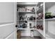 Well-organized pantry with ample shelving for food storage at 32040 N Lisadre Ln, San Tan Valley, AZ 85144