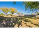 Expansive grassy backyard with mature trees and a partial view of mountains at 3464 N Ashbrook St, Mesa, AZ 85213