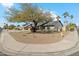 House exterior view showing a corner lot with mature trees and a fire hydrant at 4726 E Grandview Rd, Phoenix, AZ 85032