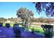 Landscaped backyard with walking path and trees at 5122 E Shea Blvd # 1005, Scottsdale, AZ 85254