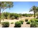 Landscaped backyard with walking path and trees at 5122 E Shea Blvd # 1005, Scottsdale, AZ 85254