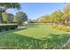 Expansive backyard with lush lawn and trees, complemented by picturesque mountain views at 5203 N Monte Vista Dr, Paradise Valley, AZ 85253