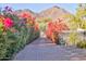 Paver driveway lined with colorful bougainvillea bushes approaching a gated property at 5203 N Monte Vista Dr, Paradise Valley, AZ 85253