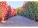 Driveway with vibrant bougainvillea hedges creating a colorful entrance to the property at 5203 N Monte Vista Dr, Paradise Valley, AZ 85253