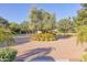 Long, paved driveway leading to lush landscaping and mature trees on a sunny day at 5203 N Monte Vista Dr, Paradise Valley, AZ 85253