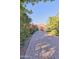 Long, beautiful brick driveway lined with vibrant bushes and greenery, leading to the property entrance at 5203 N Monte Vista Dr, Paradise Valley, AZ 85253