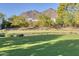 Private putting green and artificial grass backyard featuring mature trees and mountain views at 5203 N Monte Vista Dr, Paradise Valley, AZ 85253