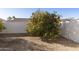 Landscaped backyard with mature orange trees at 9323 E Arrowvale Dr, Sun Lakes, AZ 85248