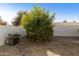 Backyard with lemon tree and built-in grill at 9323 E Arrowvale Dr, Sun Lakes, AZ 85248