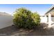 Backyard with mature orange tree and gravel at 9323 E Arrowvale Dr, Sun Lakes, AZ 85248