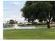 Serene pond view with fountain, lush green grass, and mature trees at 10161 W Pineaire Dr, Sun City, AZ 85351