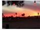 Stunning sunset over palm trees and golf course at 10161 W Pineaire Dr, Sun City, AZ 85351