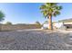 Large backyard with gravel, a palm tree, and a storage shed at 1126 S 97Th Way, Mesa, AZ 85208