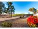 Backyard with golf course view, red flowers and a fence at 11670 W Pine Mountain Ct, Surprise, AZ 85378