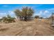 Backyard with a tree and view of a portion of the home at 13705 S 209Th Ave, Buckeye, AZ 85326