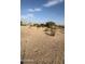 Empty lot with sparse desert vegetation at 13705 S 209Th Ave, Buckeye, AZ 85326