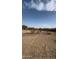 Vacant lot with desert plants and distant structures at 13705 S 209Th Ave, Buckeye, AZ 85326