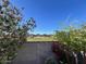 Landscaped backyard featuring colorful flowers, a block wall, and a view of neighboring properties at 17066 W Seldon Ln, Waddell, AZ 85355