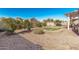 Spacious backyard with fruit trees and gravel at 2135 N St Pedro Ave, Casa Grande, AZ 85122