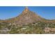 Aerial view of community with golf course and mountain backdrop at 25838 N 104Th Pl, Scottsdale, AZ 85255