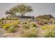 Community entrance sign, landscaping, and desert plants at 27648 N 102Nd Ln, Peoria, AZ 85383