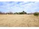 Open grassy backyard with distant views of neighborhood homes at 280 N 159Th St, Gilbert, AZ 85234