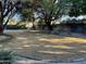 Large grassy backyard bordered by trees at 2935 W Kristal Way, Phoenix, AZ 85027