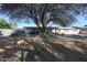 Spacious backyard with mature trees providing shade at 2935 W Kristal Way, Phoenix, AZ 85027