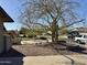 View of the home's front yard, enhanced by mature landscaping, desert rock, and a beautiful shade tree at 511 E Port Au Prince Ln, Phoenix, AZ 85022