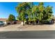 House exterior featuring a driveway and established trees at 6258 E Ivy St, Mesa, AZ 85205