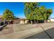 Single-story home with a two-car garage and mature landscaping at 6258 E Ivy St, Mesa, AZ 85205