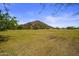 Expansive green space with mountain views at 9036 E Halifax Cir, Mesa, AZ 85207